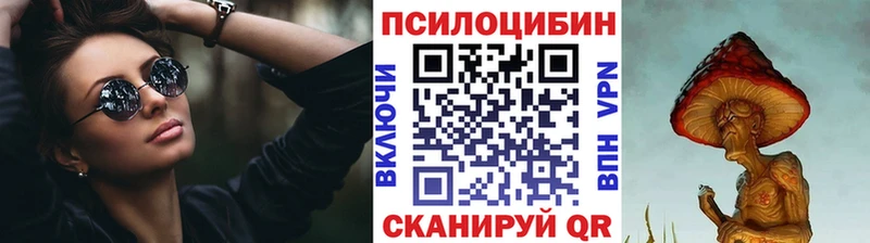 Купить где  Малмыж  Псилоцибиновые грибы Psilocybe 